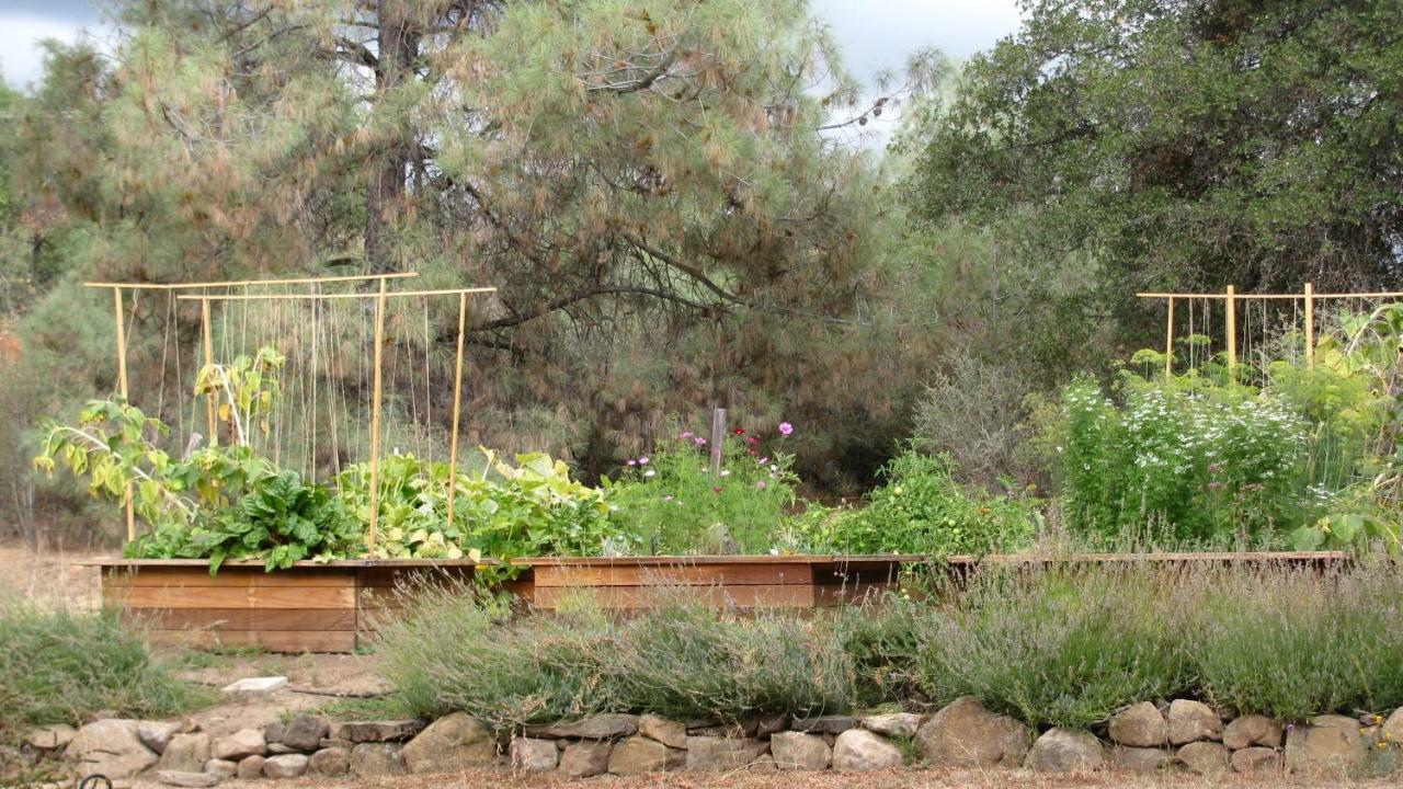 Yosemite Rose Bed And Breakfast Groveland Exterior foto